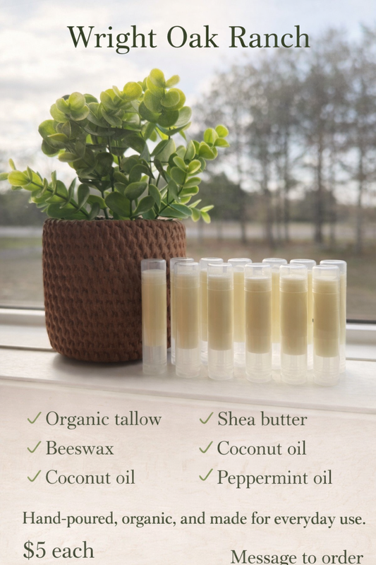 Lip Balm